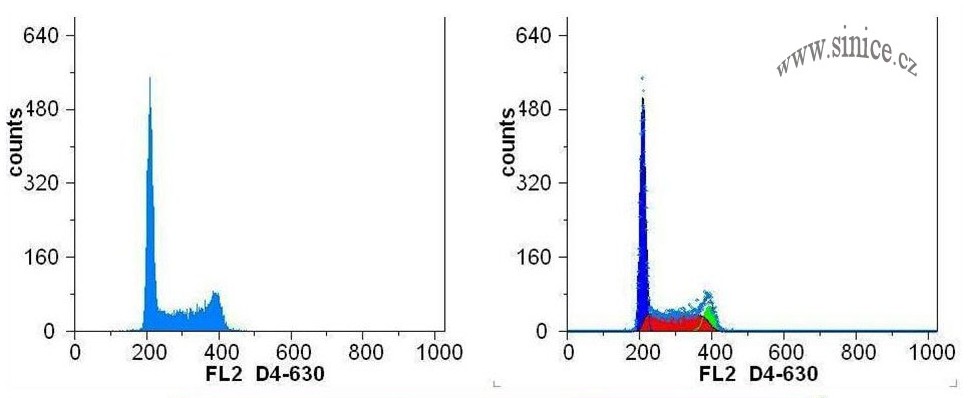 HaCat keratinocytes - cell cycle analysis