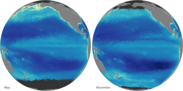 Kolísání obsahu fytopllanktonu v Tichém oceánu